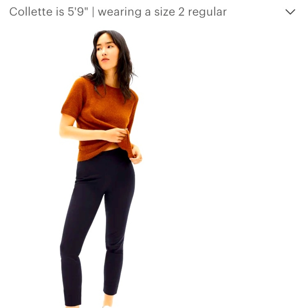 Everlane side zip stretch cotton pant like new 2 regular black